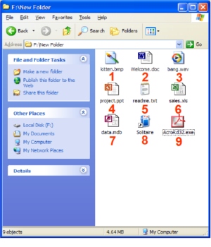 File Types