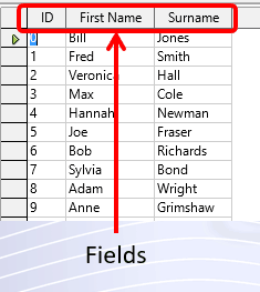 2 Fields 2 Fields